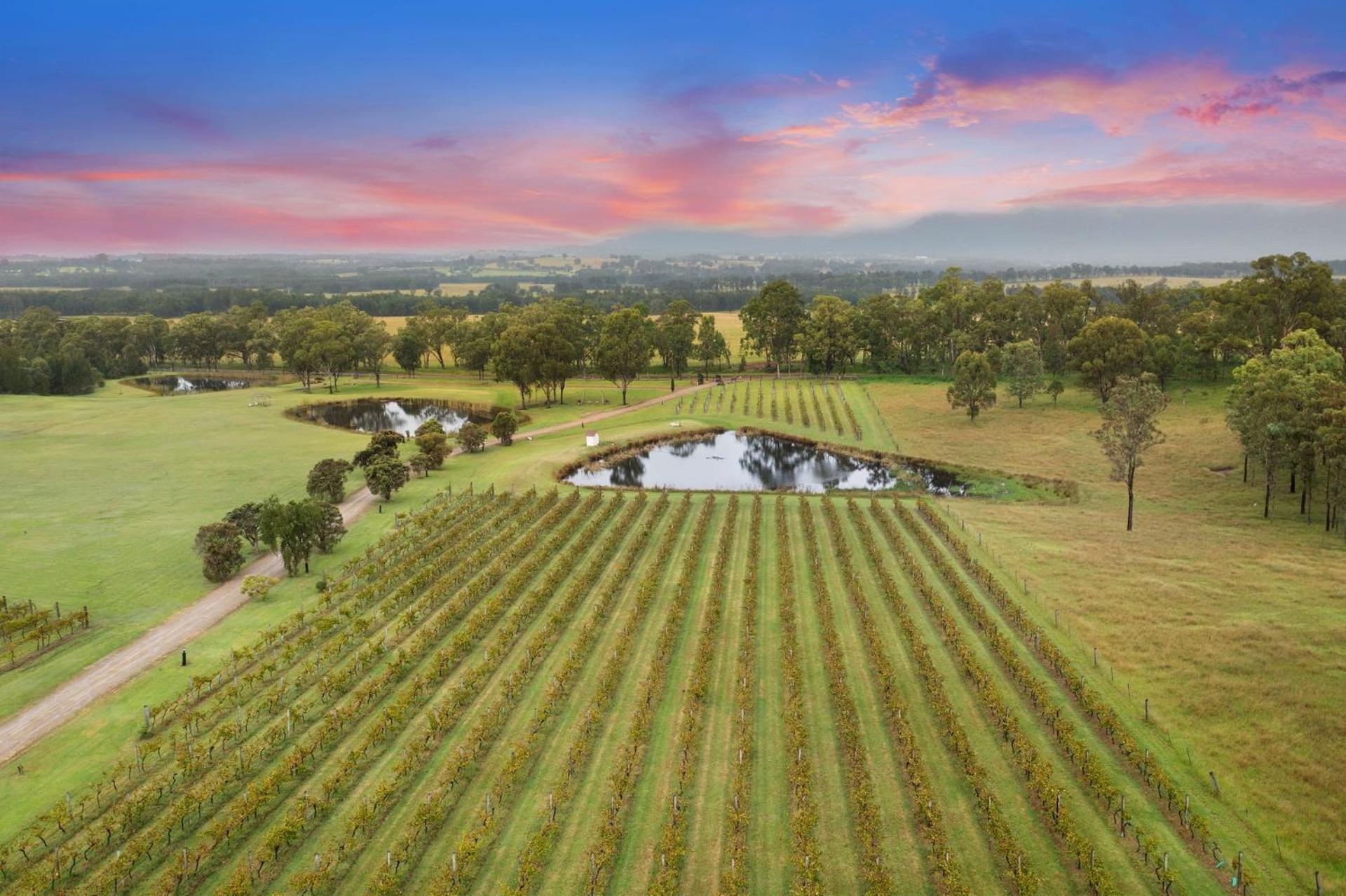 Bracken Ridge Vineyard The Entire Estate Rothbury Eksteriør bilde