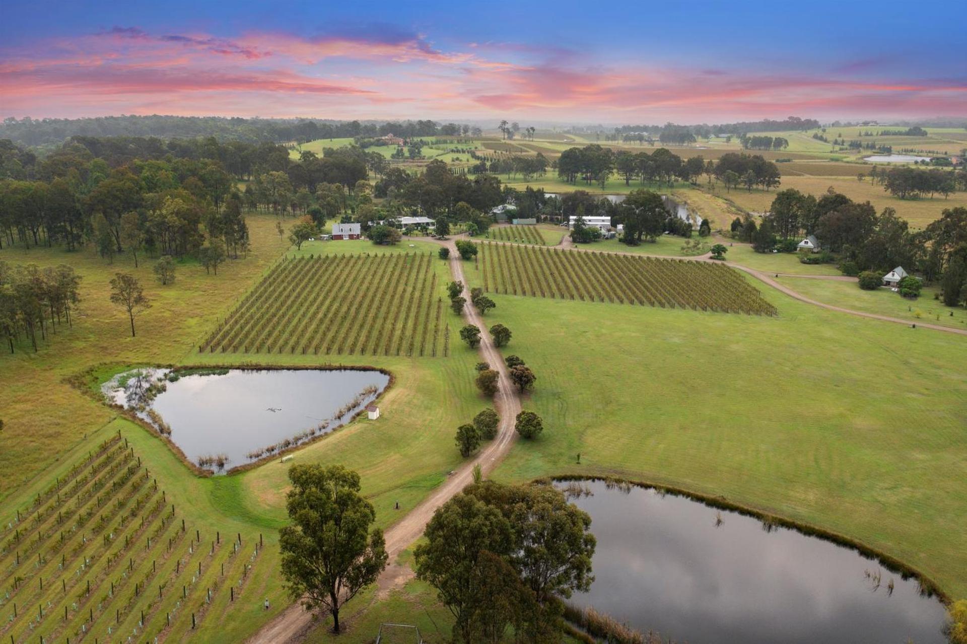 Bracken Ridge Vineyard The Entire Estate Rothbury Eksteriør bilde